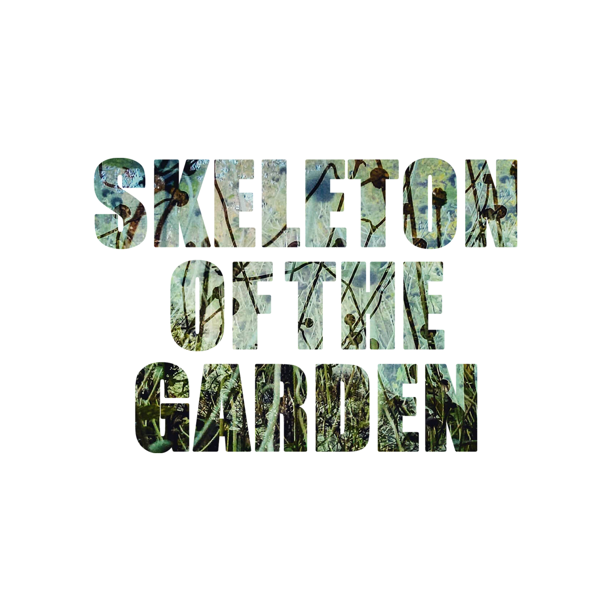 Skeleton of The Garden